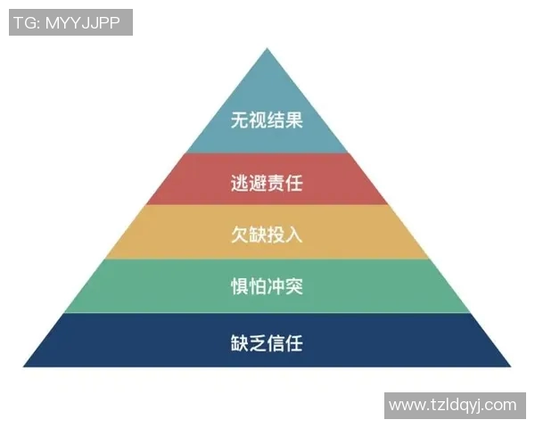 上海滑板队团队协作的变革与热议背后的故事与启示