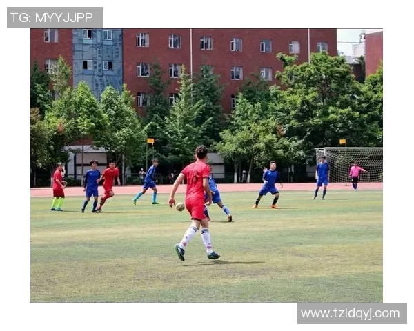 南京羽毛球队边路渗透战术分析及其在比赛中的成效与不足探讨