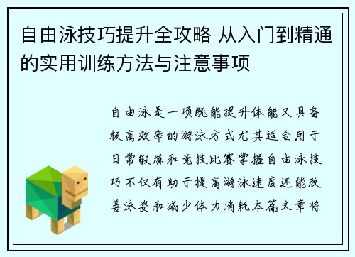 自由泳技巧提升全攻略 从入门到精通的实用训练方法与注意事项